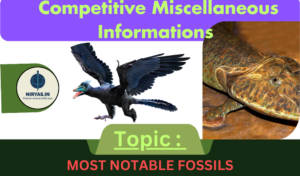 Most Notable Fossils 