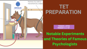 Notable Experiments and Theories of Famous Psychologists