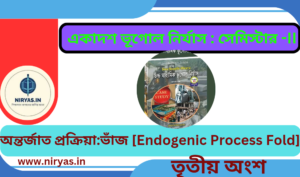 Geomorphic Process Fold Part-III